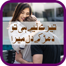 Tere Liye Hi To Dharke Dil Mera by Lee Aaun APK