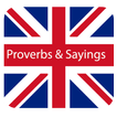 proverbs and sayings icon