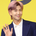 BTS RM-偽の通話とチャット