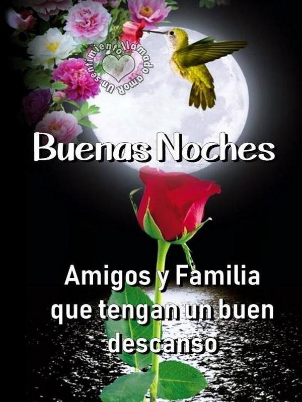 Descargar Buenas noches imágenes Gif animados APK para Android gif 3d Descargar Buenas noches imágenes Gif animados APK para Android
