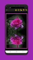 Images magnifiques Fleurs Roses Gif capture d'écran 3