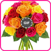 Beautiful Bouquets of Flower and Roses gif