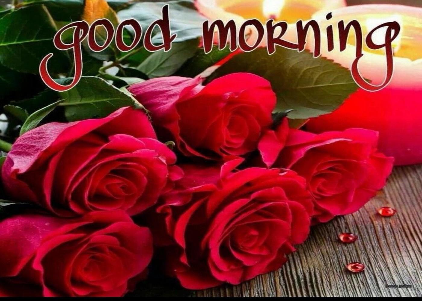 animated good morning gifs_mp3 juice_www.anhtung.com