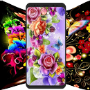 Flower Wallpapers  Colorful Flowers in HD 4K-APK