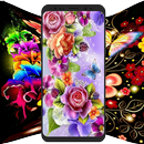 Fonds d'écran Fleurs Fleurs colorées en HD 4K APK