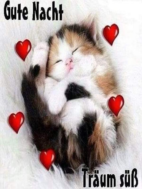 Gute nacht bilder whatsapp