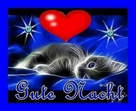 Lustige Videos Kostenlos Downloaden Furs Handy Lustigebilder
