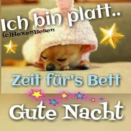 Gute nacht lustig whatsapp gute nacht