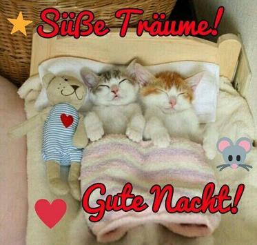 Gute Nacht Gb Pics Gb Bilder Gastebuchbilder Facebook Bilder