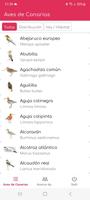 Aves de Canarias Affiche