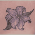 Jasmine Flower Tattoo