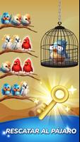 Bird Triple Match Poster