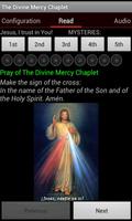 Divine Mercy Chaplet poster