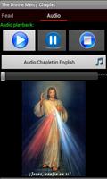 Divine Mercy Chaplet screenshot 1