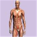 Anatomy and Physiology APK