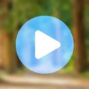 Jassi Gill All Video Songs-APK