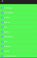 LAGU ST12 POPULER Screenshot 3