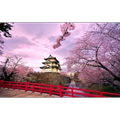 Japanese Names
