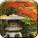 Autumn Zen Garden wallpaper aplikacja