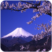”Best Japan Wallpaper HD