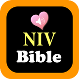 NIV Audio Holy Bible