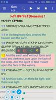 Amharic English Audio Bible screenshot 1