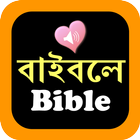 Bengali English Audio Bible-icoon