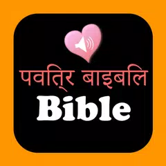 Hindi English Holy Bible Audio APK download