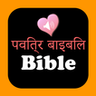 Hindi English Holy Bible Audio