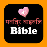 Hindi English Holy Bible Audio icon