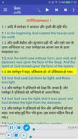 Hindi English Holy Bible Audio poster