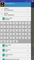 Runyankole English Audio Bible screenshot 1