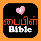Tamil English Audio Holy Bible icon