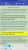 Telugu English Audio Bible poster