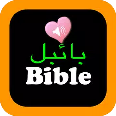 Descargar APK de Urdu English Audio Holy Bible