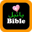 Urdu English Audio Holy Bible APK