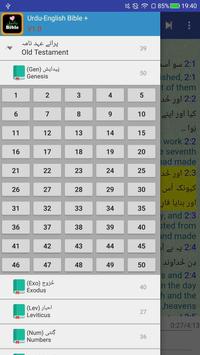 Urdu English Bilingual Audio Holy Bible Offline 截图 6