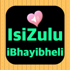 Zulu English Audio Holy Bible أيقونة