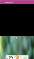 Mp3 Masteran Kacer Screenshot 2