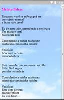 Raul Seixas Letras screenshot 3