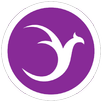 JarvisVPN Lite APK