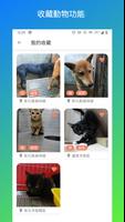 PetMe - 全國貓狗認領養、收容所及動物資訊 截圖 3