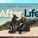 After life season 2 ss 2022 APK