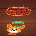 Puzzle Game