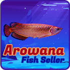 Icona Arowana Seller