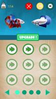 Betta Fish Seller 포스터