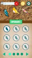 Bird Shop постер