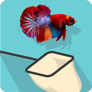 Catch the Betta APK