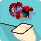 Catch the Betta Zeichen
