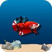 Flappy Betta